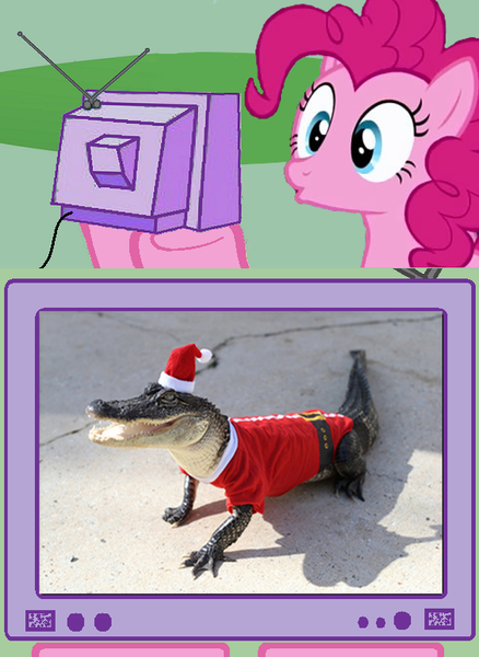 Size: 563x771 | Tagged: safe, derpibooru import, alligator, pony, christmas, clothes, exploitable meme, hat, meme, santa costume, santa hat, tv meme