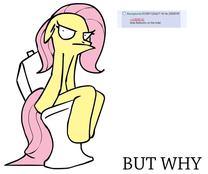 Size: 1053x882 | Tagged: artist needed, safe, derpibooru import, ponibooru import, fluttershy, pegasus, pony, 4chan, anatomically incorrect, artifact, but why, female, floppy ears, glare, incorrect leg anatomy, mare, meme origin, simple background, sitting, solo, toilet, unamused, wat, white background, why