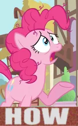 Size: 689x1107 | Tagged: safe, derpibooru import, edit, edited screencap, screencap, pinkie pie, image macro, meme, why.jpg