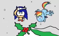 Size: 1013x619 | Tagged: artist:tj0001, crossover, crossover shipping, derpibooru import, female, holly, holly mistaken for mistletoe, interspecies, male, rainbow dash, safe, shipping, sonicdash, sonic the hedgehog, sonic the hedgehog (series), straight