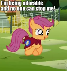 Size: 485x512 | Tagged: and nopony can stop me, cape, clothes, cmc cape, cropped, cute, cutealoo, edit, edited screencap, image macro, safe, scootaloo, screencap, solo, stare master