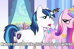 Size: 611x403 | Tagged: suggestive, derpibooru import, edit, edited screencap, screencap, princess cadance, shining armor, alicorn, pony, unicorn, the crystal empire, bags under eyes, crystal empire, female, herpes, horn crystals, image macro, implied sex, male, mare, sexually transmitted disease, stallion