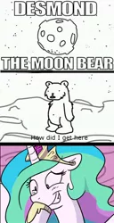 Size: 640x1250 | Tagged: safe, derpibooru import, princess celestia, alicorn, bear, pony, asdfmovie, desmond, desmond the moon bear, floppy ears, grin, laughing, moon, smiling, to the moon, trollestia