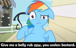 Size: 832x533 | Tagged: bellyrubs, bronybait, derpibooru import, edit, edited screencap, floppy ears, image macro, lesson zero, rainbow dash, safe, screencap, solo, vulgar