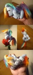 Size: 400x900 | Tagged: artist:tkc, dead source, derpibooru import, hand, irl, photo, plushie, rainbow dash, safe, sleeping