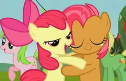 Size: 532x340 | Tagged: apple bloom, apple family member, apple family reunion, appleseed, babs seed, bedroom eyes, derpibooru import, female, lesbian, out of context, red gala, safe, screencap, shipping, wensley