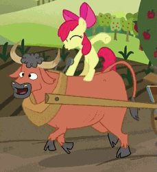 Size: 465x508 | Tagged: safe, derpibooru import, screencap, apple bloom, bull, earth pony, pony, apple family reunion, adorabloom, animal, animated, cloven hooves, cute, duo, eyes closed, farm, female, filly, ponies riding bulls, riding, walk cycle