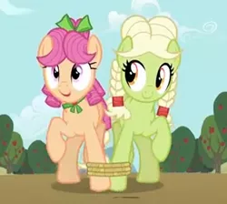 Size: 312x280 | Tagged: safe, derpibooru import, screencap, apple rose, granny smith, earth pony, pony, apple family reunion, bow, braid, cousins, cropped, duo, female, hair bow, mare, seven-legged race, young granny smith