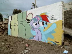 Size: 4320x3240 | Tagged: safe, artist:shinodage, derpibooru import, rainbow dash, twilight sparkle, graffiti, meme, racial slur, vulgar, x x everywhere