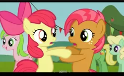 Size: 1680x1028 | Tagged: safe, derpibooru import, screencap, apple bloom, apple honey, apple tarty, babs seed, red gala, wensley, pony, apple family reunion, bipedal, youtube caption