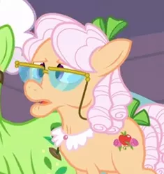 Size: 252x268 | Tagged: safe, derpibooru import, screencap, apple rose, auntie applesauce, earth pony, pony, apple family reunion, cropped, elderly, female, glasses, mare, solo focus