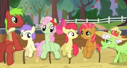 Size: 620x332 | Tagged: alula, apple bloom, apple cinnamon, apple family member, apple family reunion, auntie applesauce, babs seed, bolo tie, derpibooru import, florina tart, hat, minty apple, safe, screencap