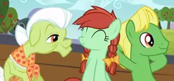 Size: 564x264 | Tagged: safe, derpibooru import, screencap, candy apples, granny smith, wensley, earth pony, pony, apple family reunion, apple family member, background pony, bow, braid, elderly, female, hair bow, male, mare, stallion, trio