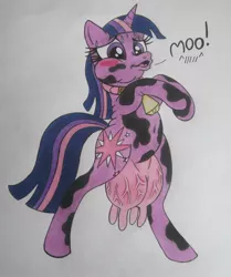 Size: 856x1024 | Tagged: safe, artist:spectrum-sparkle, derpibooru import, twilight sparkle, cow, pony, bell, bell collar, belly button, bipedal, blushing, collar, cowbell, cowified, female, moo, nudity, solo, species swap, sweat, twilight sparcow, udder, vein