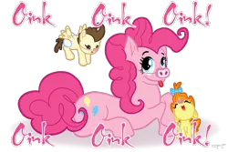 Size: 900x600 | Tagged: animal, artist:thegrumpyturtle, baby cakes, clothes, costume, derpibooru import, oink oink oink, one word, pig, piggie pie, pinkie pie, pound cake, pumpkin cake, safe, scene interpretation