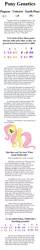 Size: 640x4000 | Tagged: artist:cocoanutcakery, derpibooru import, fluttershy, genetics, pony genetics, safe, science, text