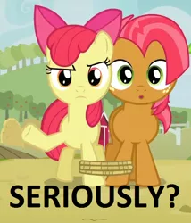 Size: 534x625 | Tagged: apple bloom, apple family reunion, babs seed, derpibooru import, edit, edited screencap, image macro, reaction image, safe, screencap, seriously