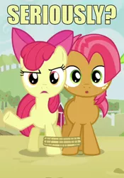 Size: 500x716 | Tagged: apple bloom, babs seed, derpibooru import, image macro, reaction image, safe, seriously