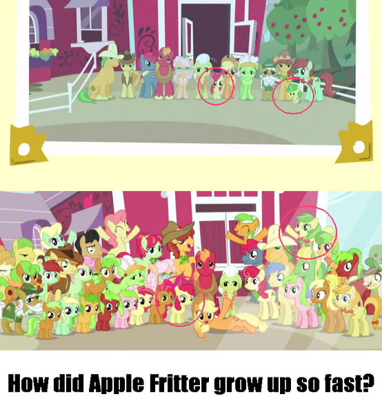 Size: 768x832 | Tagged: safe, derpibooru import, screencap, apple bloom, apple brown betty, apple bud, apple bumpkin, apple cinnamon, apple cobbler, apple crumble, apple dumpling, apple flora, apple fritter, apple honey, apple leaves, apple mint, apple rose, apple split, apple squash, apple strudel, apple tarty, apple top, applejack, aunt orange, auntie applesauce, babs seed, big macintosh, braeburn, bushel, candy apples, florina tart, gala appleby, golden delicious, granny smith, half baked apple, hayseed turnip truck, hoss, jonagold, liberty belle, marmalade jalapeno popette, minty apple, perfect pie, pink lady, red delicious, red gala, red june, sweet tooth, uncle orange, wensley, pony, unicorn, apple family reunion, apple family, apple family member, apple siblings, barn, meme, soon, sweet apple acres, the oranges, time paradox, wall of tags