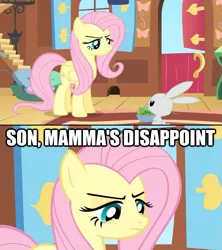 Size: 625x705 | Tagged: angel bunny, angry, derpibooru import, fluttermom, fluttershy, i am disappoint, image macro, safe