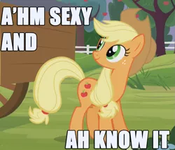 Size: 877x749 | Tagged: applejack, derpibooru import, facts, image macro, safe, truth