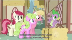Size: 638x355 | Tagged: daisy, derpibooru import, flower trio, flower wishes, hub logo, lily, lily valley, roseluck, safe, screencap, spike, the cutie pox, youtube caption
