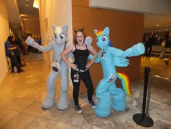 Size: 1024x768 | Tagged: cosplay, derpibooru import, derpy hooves, fursuit, irl, photo, rainbow dash, safe