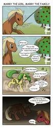 Size: 900x2160 | Tagged: safe, artist:liliy, derpibooru import, apple fritter, big macintosh, meadow song, earth pony, pony, apple family reunion, apple family member, barn, comic, male, marriage, meadowfritter, raise this barn, stallion, workaholic