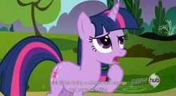 Size: 1577x855 | Tagged: derpibooru import, safe, screencap, twilight sparkle, youtube caption, youtube link