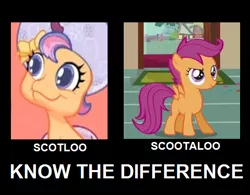 Size: 481x375 | Tagged: derpibooru import, eldritch abomination, g3.5, image macro, safe, scootaloo, scotloo