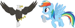 Size: 900x338 | Tagged: artist needed, safe, derpibooru import, rainbow dash, bald eagle, bird, eagle, pegasus, pony, may the best pet win, duo, flying, simple background, tissue, transparent background, vector