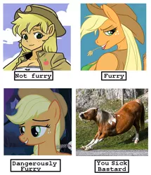 Size: 482x561 | Tagged: ambiguous facial structure, anthro, anthro chart, applejack, bedroom eyes, chart, derpibooru import, eared humanization, furry, horse, photo, real pony, safe