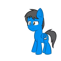 Size: 800x800 | Tagged: artist:coolstorybrony, derpibooru import, oc, safe, unofficial characters only
