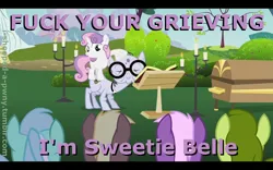 Size: 1280x800 | Tagged: safe, derpibooru import, edit, edited screencap, editor:i-shooped-a-pwny, screencap, coco crusoe, lyra heartstrings, mr. waddle, oakey doke, sweetie belle, welch, earth pony, pony, unicorn, hearts and hooves day (episode), background pony, clerical collar, coffin, elderly, female, filly, funeral, funny, glasses, hearts and hooves day, liver spots, male, noogie, stallion, the perfect stallion, vulgar