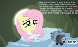 Size: 1159x703 | Tagged: artist:ohthatandy, derpibooru import, fluttershy, grin, lol no, porcupine, safe, smiling, squee, winter wrap up