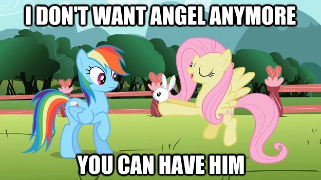 Size: 625x351 | Tagged: angel bunny, derpibooru import, fluttershy, image macro, rainbow dash, safe