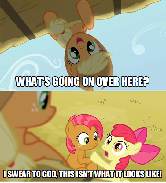 Size: 633x699 | Tagged: all caps, apple bloom, applejack, appleseed, babs seed, derpibooru import, female, image macro, impact font, implied applecest, implied incest, implied shipping, lesbian, shipping, source needed, suggestive