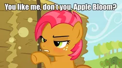 Size: 1280x718 | Tagged: safe, derpibooru import, edit, edited screencap, screencap, babs seed, earth pony, pony, apple family reunion, appleseed, blushing, caption, cider, confrontation, drunk, drunker babs, female, filly, image macro, implied apple bloom, implied applecest, implied incest, implied shipping, lesbian, meme, shipping