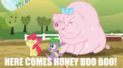 Size: 854x475 | Tagged: safe, artist:fineartobserver, derpibooru import, edit, edited screencap, screencap, apple bloom, little piggington, spike, earth pony, pig, pony, spike at your service, bow, caption, female, filly, here comes honey boo boo, honey boo boo, image macro, smiling, text