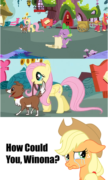 Size: 500x832 | Tagged: safe, derpibooru import, applejack, big macintosh, fluttershy, spike, winona, earth pony, pony, spike at your service, comic, male, stallion, unhapplejack