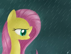 Size: 1600x1200 | Tagged: artist:mcsadat, crying, derpibooru import, fluttershy, rain, sad, safe, solo