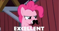 Size: 500x264 | Tagged: derpibooru import, excellent, image macro, moustache, pinkie pie, plotting, reaction image, safe, solo, spike at your service