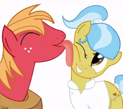 Size: 720x640 | Tagged: safe, artist:theoriginalmalice, derpibooru import, big macintosh, doctor fauna, earth pony, pony, happy, licking, macfauna, male, shipping, smiling, stallion, straight