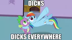 Size: 1920x1080 | Tagged: caption, dicks everywhere, edit, edited screencap, implied penis, rainbow dash, screencap, spike, suggestive, text, vulgar, x x everywhere