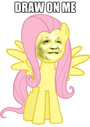 Size: 569x800 | Tagged: 1000 years in photoshop, deng xiaoping, derpibooru import, draw on me, fluttershy, photoshop, safe