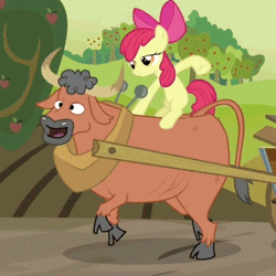 Size: 400x400 | Tagged: safe, derpibooru import, screencap, apple bloom, bull, earth pony, pony, apple family reunion, animated, cloven hooves, cropped, cute, duo, female, filly, ponies riding bulls, riding