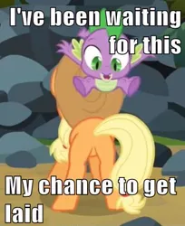 Size: 399x490 | Tagged: suggestive, derpibooru import, applejack, spike, spike at your service, applespike, female, image macro, impact font, male, meme, shipping, straight
