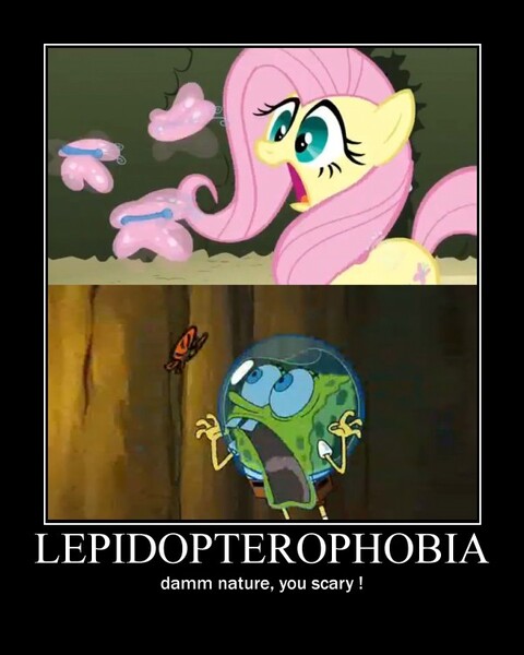 Size: 600x750 | Tagged: safe, derpibooru import, fluttershy, butterfly, family guy, fear, image, jpeg, lepidopterophobia, meme, motivational poster, motivator, nature, scared, scary, spongebob squarepants, spongebob squarepants (character), wormy