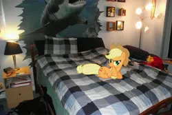 Size: 4000x2664 | Tagged: safe, artist:venom2204, derpibooru import, applejack, earth pony, pony, shark, bed, blanket, irl, lamp, photo, picture, ponies in real life, prone, smiling, solo, table, vector