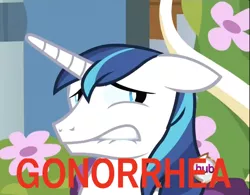 Size: 602x469 | Tagged: derpibooru import, gmod idiot box, gonorrhea, safe, shining armor